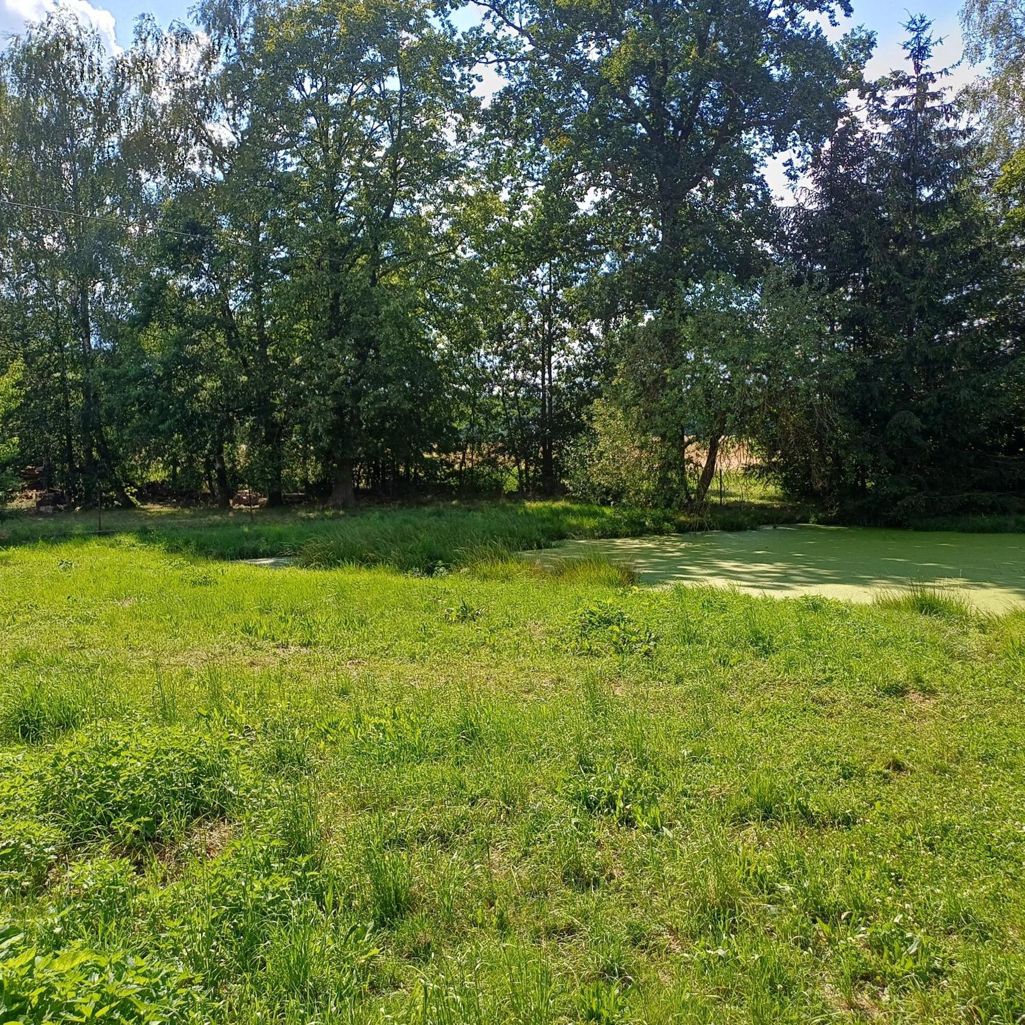 Appartement Statek U Spulaka à Lomnice nad Lužnicí Extérieur photo